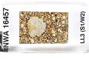 Meteorite NWA 16457 - LL3 Chondrite rare 13mm MEGA CHONDRULE !!! Thin Section