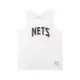 Mitchell & Ness 背心 New Jersey Nets 紐澤西 籃網 無袖 M&N MNTK002NJNW