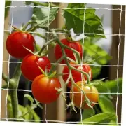 Trellis Netting for Climbing Plants, Cucumber 6" Mesh (5*30 Ft) - 2Pack