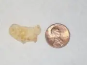 USA Shape Flake: Honey Bunches Of Oats Near Perfect Corn Flake Food Collectable
