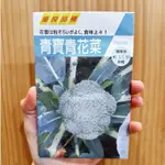 原包裝 10克 青寶青花菜種子 約4000粒 花椰菜種子 青寶花椰菜種子 青寶綠花椰菜種子 花椰菜種子 青花種子 菜種子