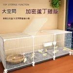 小雞籠子 家用加密蘆丁雞籠 寵物鴨子籠子 鵪鶉養殖籠 養雞籠室內專用籠