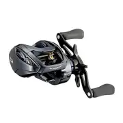 Daiwa 21 Steez A TW HLC 6.3LNEW