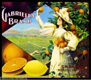 Pomona Los Angeles Gabriella Orange Lemon Citrus Fruit Crate Label Art Print