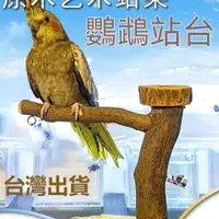 在飛比找蝦皮購物優惠-鸚鵡站台 鳥站架 鸚鵡玩具 灰鸚鵡 鳥站架鸚鵡樹枝桌面架子牡