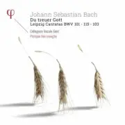 J.S. BACH / HERREWEGHE - DU TREUER GOTT / LEIPZIG CANTATAS NEW CD