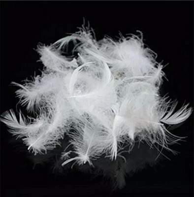 Bulk Goose Down Feather Stuffing & Fill – Hypoallergenic Pillow Filling, Repa...