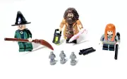 Lego Harry Potter Minifigures Rubeus Hagrid McGonagall Susan Bones Wands Brooms