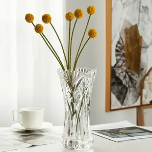 博洛克透明 白菜鳳尾水晶玻璃花瓶 富貴竹插花瓶檯面花器
