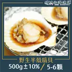 野生半殼扇貝(5~6顆/500G±10%/包)【北海漁鋪】