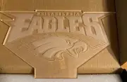 3D Illusions Philadelphia Eagles Night Light 3D Illusion Lamp Missing Remote