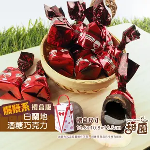 Anthon Berg 丹麥恩格 烈酒巧克力 酒糖系列情人節巧克力酒糖 巧克力禮盒 (16支) 櫻桃酒糖【甜園】