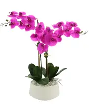 Creative Displays Hot Pink Orchid Floral Arrangement