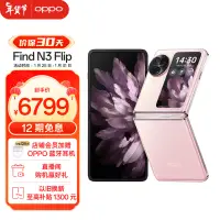 在飛比找京東台灣優惠-OPPO Find N3 Flip 12GB+512GB 薄