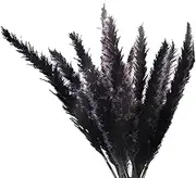 Voniecop 30Pcs Black Pampas Grass, 17 Inch Natural Dried Small Stems for Home Wedding Decor Flower Arrangements,Decor