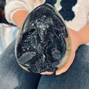 5.28LB Natural Dragon Septarian Geode Quartz Cluster Crystal egg Healing 2400g