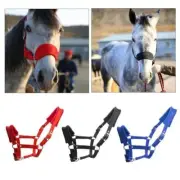 Horse Halter Adjustable Horse Skin Bridle Bridle Head Collar Strap Equipment ﻿