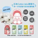 【STU】日本 COTTON LABO 新習慣洗臉巾 日本潔面巾 拋棄式潔面卸妝洗面巾 抽取式/捲筒式 臉部 面部 清潔