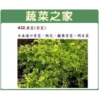 在飛比找蝦皮購物優惠-蔬菜之家滿額免運【00A32】大包裝菊苣種子25克(日本進口