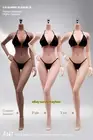 ANT 1/6 Female Makeup Seamless Body 12''Large Bust Pale/Tan/Suntan Action Figure