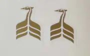 Raleigh Heron Forks