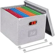 Umtiti A4-Size File Organizer Box with Lid, Letter Size, File Folder Storage, Easy Slide Durable Hanging File Box for Office/Decor/Home,Light Gray.S-UK