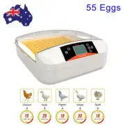 55 Egg Incubator Fully Automatic Digital Led Turning Chicken Duck Eggs Poultry