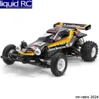 Tamiya 58742 1/10 RC Hornet EVO kit