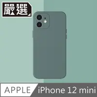 在飛比找PChome24h購物優惠-嚴選 iPhone 12 mini 液態矽膠輕薄防撞保護殼 