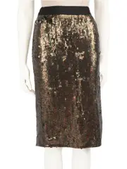 Silk Sequinned Knee-length Straight Skirt