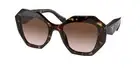 NEW Prada 16WS Sunglasses 2AU6S1 Havana 100% AUTHENTIC