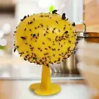 Fruit Fly Trap Killer Fruit Fly Catcher Resuable Drosophila Trap for Home Farm