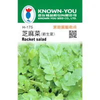 在飛比找蝦皮購物優惠-尋花趣 芝麻菜 箭生菜 (Eruca sativa) 【香藥