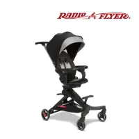 在飛比找momo購物網優惠-【RadioFlyer】德爾塔雙向摺疊 嬰兒手推車 6m+(