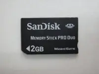 在飛比找Yahoo!奇摩拍賣優惠-【康泰典藏】SanDisk Memory Stick PRO