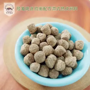 【Natural Recipes 天然食譜】陸龜挑食均衡配方濕式熟成飼料350g(蘇卡達 豹龜 赫曼 紅腿 全年齡陸龜適用)