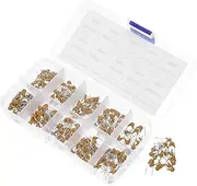 FELTECHELECTR Comprehensive 10pf to 100nf Ceramic Capacitor Kit Monolithic for Dc Circuits Replacement Needs