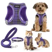 Small Dog Harness Collar and Leash Set, Step in No Chock No Pull Soft Mesh
