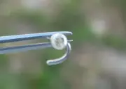2.13mm 100% NATURAL LIGHT YELLOW DIAMOND NOSE SCREW,CERTIFICATE OF AUTHENTICITY