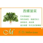 《MEILLEUR》西螺菠菜種子10元 約450粒