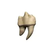 Dungeons & Dragons - Teeth of Dahlver-Nar Bite-Sized Artifact - WizKids