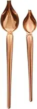 AUTSUPPL 2pcs Sauce Decorating Spoons Food Grade Saucier Culinary Spoons for DIY Sauce Drizzle and Decorative Baking and Lightweight Design