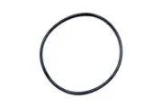 Davey Whisper Pump Lid Oring - Pre 2008