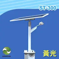 在飛比找PChome24h購物優惠-DIGISINE★ST-300 太陽能智能路燈 - 12V系
