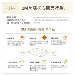 3M 新絲舒眠防蹣記憶枕-平板支撐型(M)-2入組