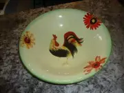 PFALTZGRAFF - DAYBREAK - SERVING BOWL - 14" X 3.5" EXCELLENT NEW CONDITION-