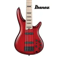 在飛比找蝦皮購物優惠-『ANB 簽名款』Ibanez ANB205 TWB 電貝斯