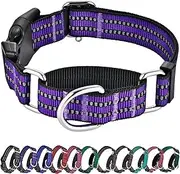 Hikiko Martingale Collar for Dogs Reflective Nylon Dog Collar with Quick Release Buckle Adjustable Training No Slip Dog Collars (Medium, Purple)