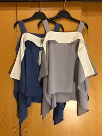 在飛比找Yahoo!奇摩拍賣優惠-全新 AEVEA 露肩 不規則 垂墜感上衣(藍色、灰色)
