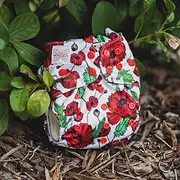 Monarch Reusable Pocket Cloth Nappy, Remember Them